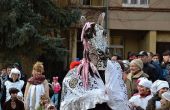 IMG_2764b.jpg