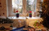 DSCN1412.jpg