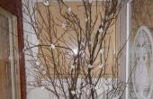 DSCN1446.jpg