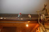 DSCN1420.jpg