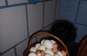 DSCN1431.jpg