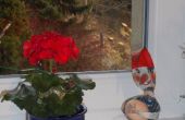 DSCN1410.jpg