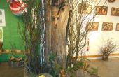 DSCN1391.jpg