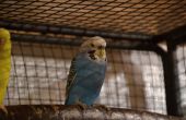 DSC_0257.JPG