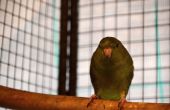 DSC_0254.JPG