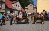 img_3595.jpg