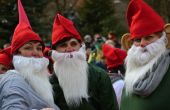 DSC_0873.JPG