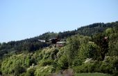 IMG_7549.JPG