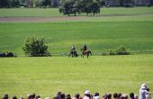 IMG_7524.JPG