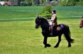 IMG_0119 - kopie.JPG