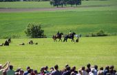 IMG_7661.JPG