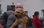 DSC_3182.JPG