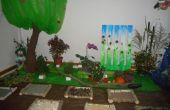 DSCN5233.jpg