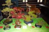DSCN5270.jpg