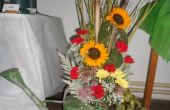 DSCN5252.jpg