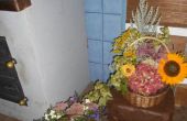 DSCN5278.jpg