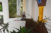 DSCN5240.jpg