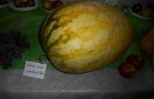 DSCN5256.jpg