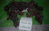 DSCN5254.jpg