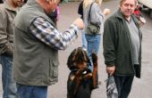 img_7091.jpg
