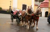 img_7068.jpg