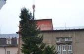 DSC_0237.JPG