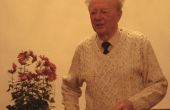 img_0271.jpg