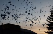 img_0463.jpg