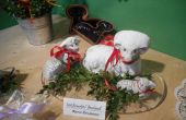 DSCN6338.JPG