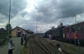 IMG_20190601_133233.jpg
