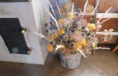 DSCN0420.JPG
