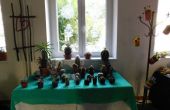 DSCN0390.JPG