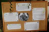 DSCN0384.JPG