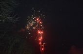 DSC_1084.JPG
