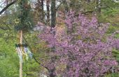 DSC_1084.JPG
