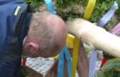 DSC_1027.JPG