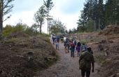 DSC_0497.JPG