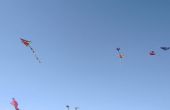 IMG_20200920_154825211.jpg