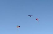 IMG_20200920_154819268.jpg