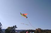 IMG_20200920_153045277.jpg