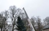 DSC_0170.JPG
