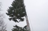 DSC_0113.JPG