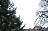 DSC_0176.JPG