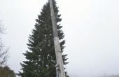 DSC_0091.JPG