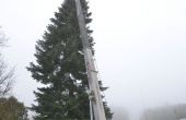 DSC_0096.JPG