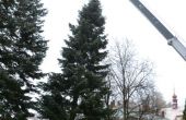 DSC_0132.JPG