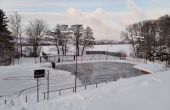 IMG_20210116_083332.jpg