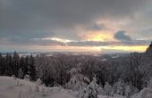 IMG_20210114_160739.jpg