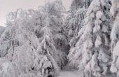 IMG_20210114_160656.jpg