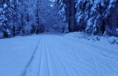 IMG_20210114_163747.jpg